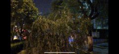 降水快讯！风雨雷电齐上阵 清凉天气来了