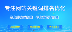 揭秘seo优化给企业带来哪些流量？-WFIP.NET